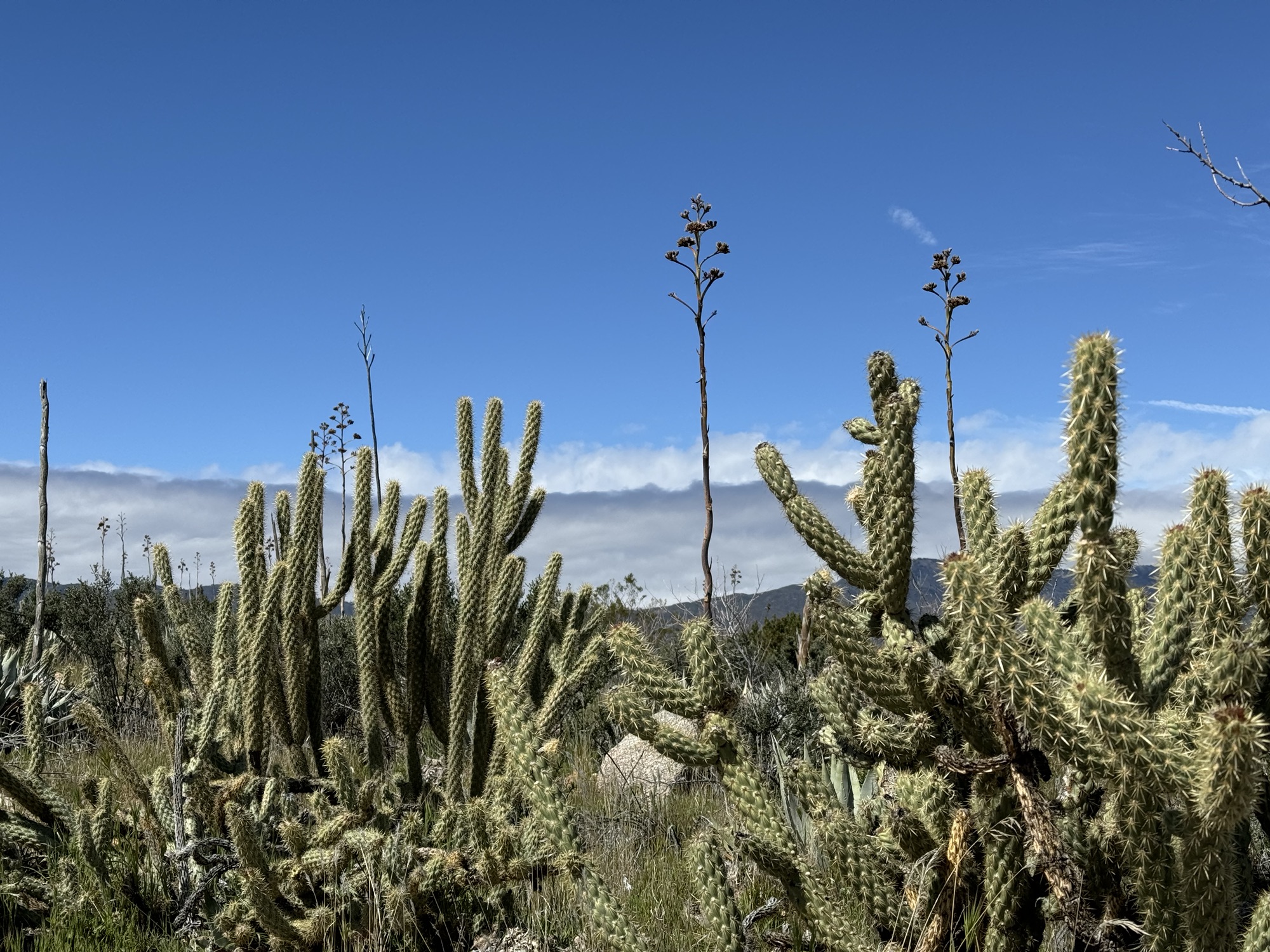 PCT Miles 32-77